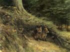 Fox Cubs