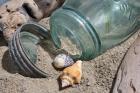 Two Shells Mason Jar