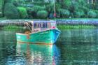 Green Hull Moored