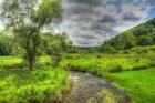 Dutchess County Stream And Meadow