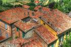 Tuscan Roofs