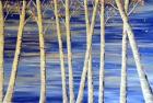 Winter Birch