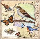 Birds, Butterflys, Bees-Pastels