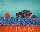 Life is a Ball Black
