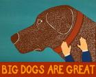 Big Dogs are Great Choc