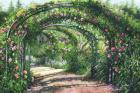 Rose Garden Arches