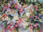 Crab Apple Blossoms I