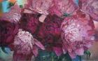 Peonies IV