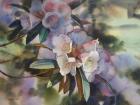 White Rhododendron in Dapped Light