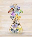 Rustic Butterfly Terrarium