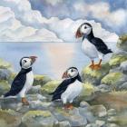 Puffins on Cliff