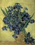 Irises(1890)
