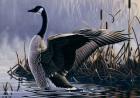 1992 Canada Goose