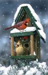 Cardinals And Birdhouse In Snow