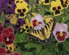 Butterflies And Pansies