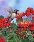 Hummingbird And Flower 2