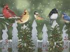 Winter Birds on a Snowy Fence