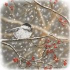 Snowberry Bird I