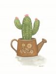 Watering Can Cactus