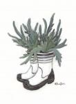 Rain Boot Staghorn Fern