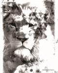 Modern Black & White Lion