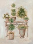 Potting Bench & Topiaries II