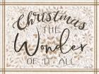 Christmas the Wonder of It All