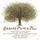 Lessons From a Tree