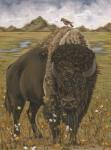 Bison