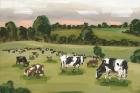 Abstract Field of Cows