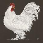 Rooster