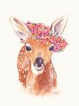 Sweet Fawn