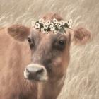 Floral Cow II