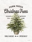 Farm Fresh Christmas Trees I