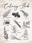 Culinary Herbs