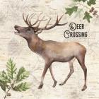 Deer Crossing