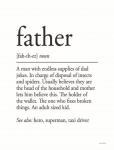 Father Definition 1