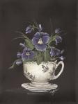 Tea Cup Violets