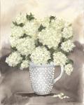 Hobnail Hydrangeas