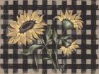 Sunflowers Plaid II