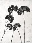 Queen Anne's Lace I