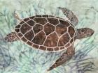 Sea Turtle Collage 1