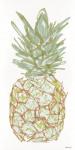 Sketchy Pineapple 2