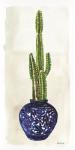 Cacti in Blue Pot 1