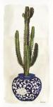 Cacti in Blue Pot 2