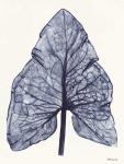 Indigo Leaf