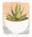 Cacti Bowl