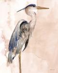 Heron 1