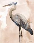 Heron 2