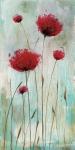 Splash Poppies I